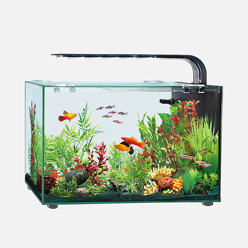 深圳市興日生實(shí)業(yè)有限公司 專業(yè)水族箱制造與創(chuàng)新