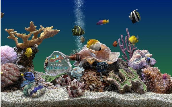 熱帶魚水族箱屏幕保護(hù) 沉浸式3D水族箱體驗(yàn)
