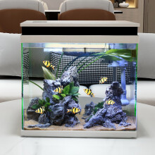 觀賞魚缸水族箱 打造靈動(dòng)水景的入門指南