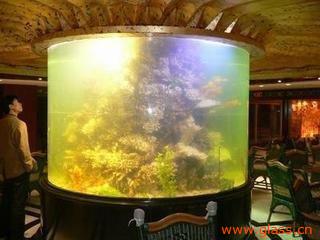 福州圓缸選購指南 價(jià)格、廠家與水族箱推薦