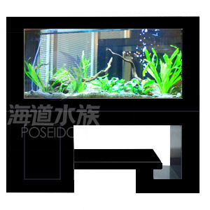 批發(fā)供應(yīng)玻璃魚缸、生態(tài)魚缸及新式簡(jiǎn)約花架柜式魚缸——保定海道水族科技